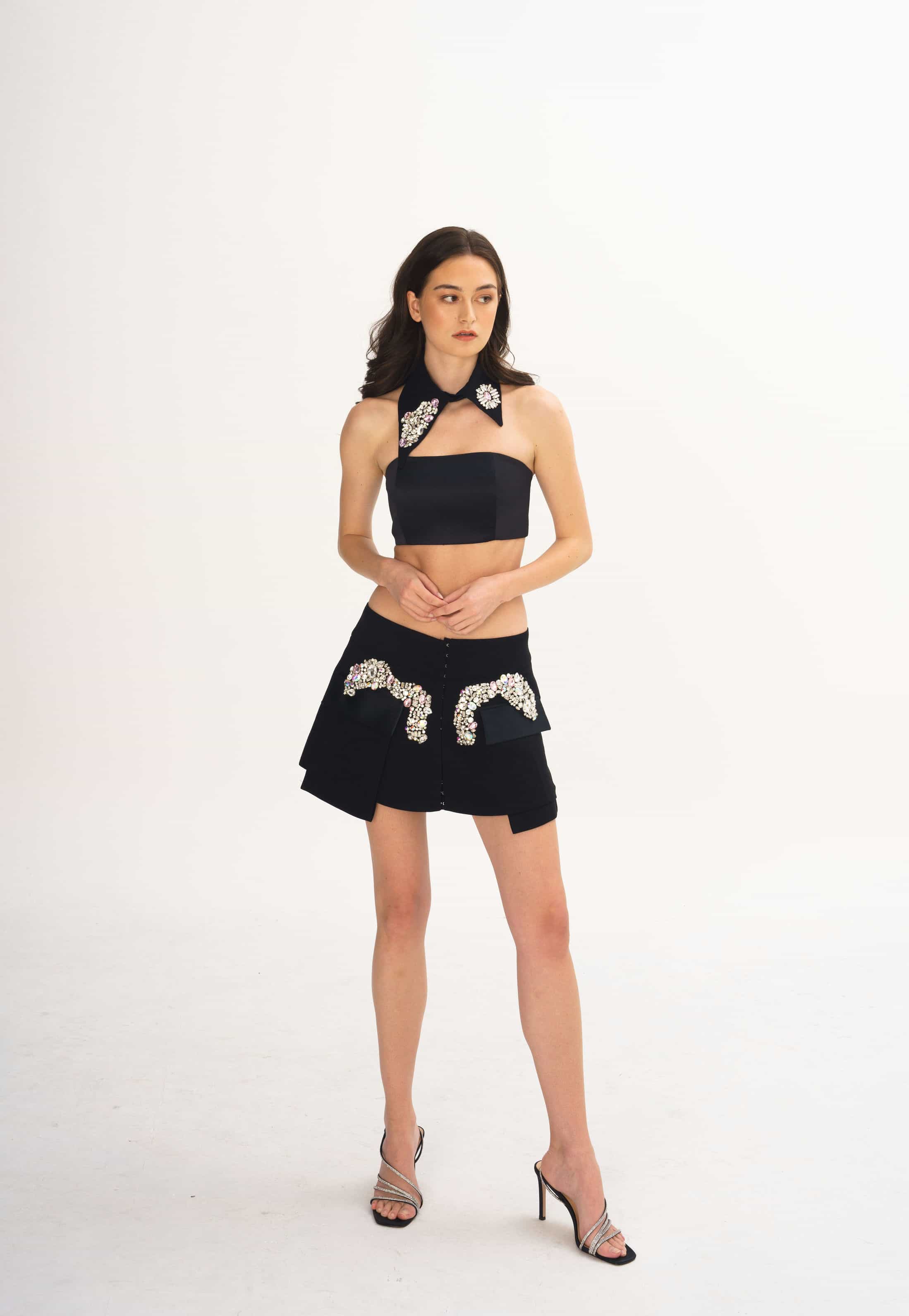 Embellished Crystal Collar Crop Top and Over Skirt Set